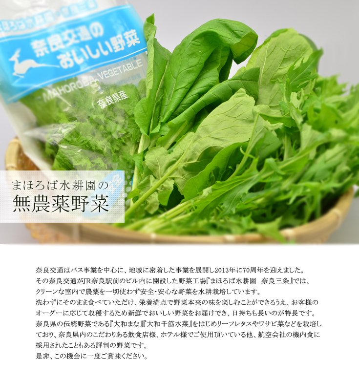 まほろば水耕園お無農薬野菜